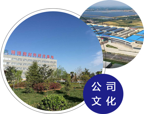 企業(yè)文化